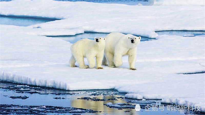 科学家|地球臭氧空洞已缩小，臭氧含量增多，科学家却高兴不起来！