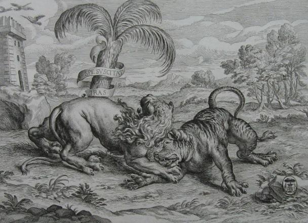 老虎|对比了老虎与狮子各项数据之后，发现狮子真的很难打赢老虎