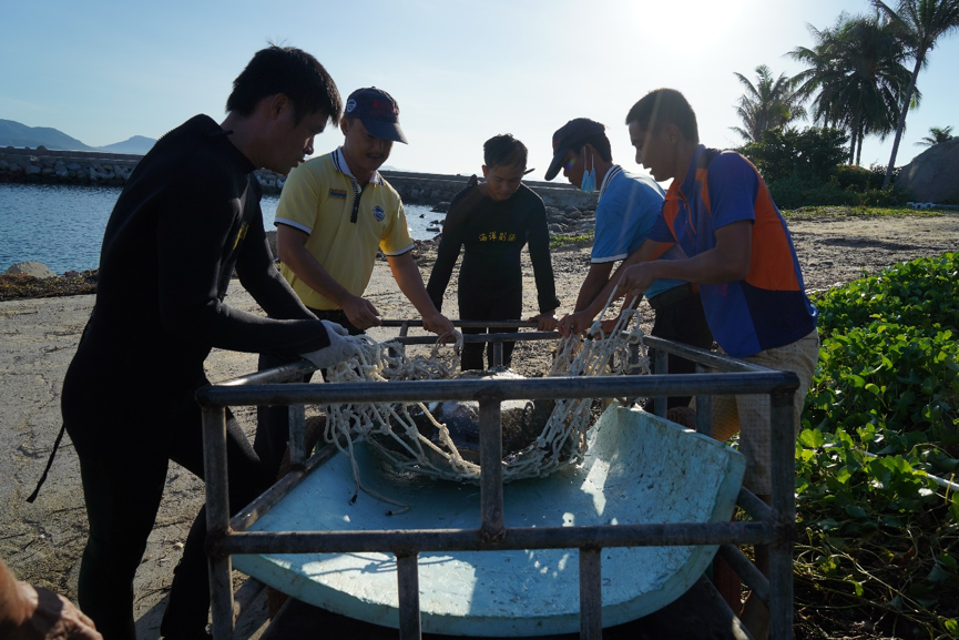 海龟|“我下辈子再也不做海龟了！”