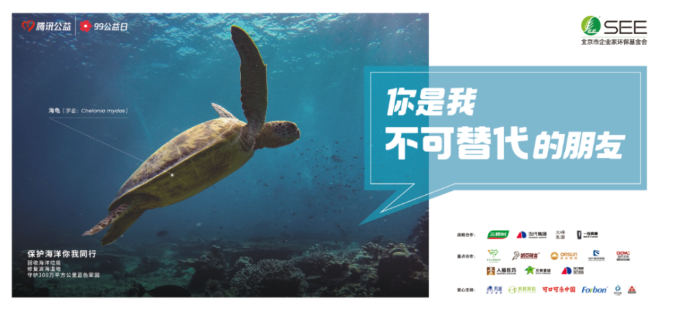 海龟|“我下辈子再也不做海龟了！”