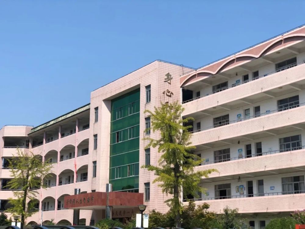 余姚五中旁的街道,让人忘不掉的青春!