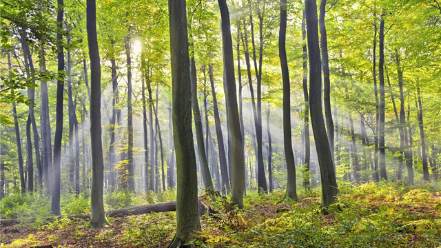 地球|21个冷知识：书本上不会出现，但却真实存在