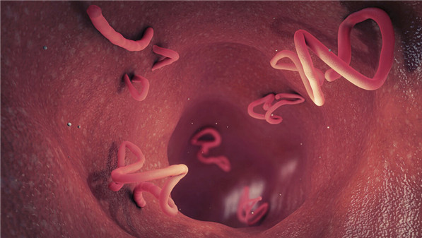 地球|21个冷知识：书本上不会出现，但却真实存在