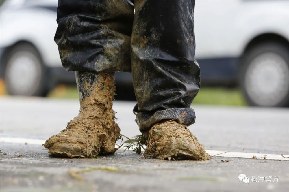 高黎贡山下的护花使者