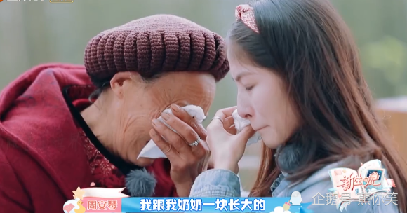 周安琴|周安琴公开身世，从小被收养长大，宁桓宇的承诺很催泪