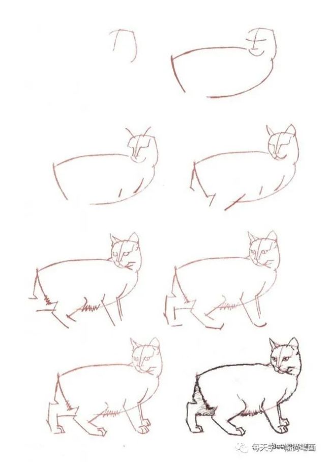 每天学一幅简笔画如何简单的画出一只猫咪多款猫的绘画教程和步骤