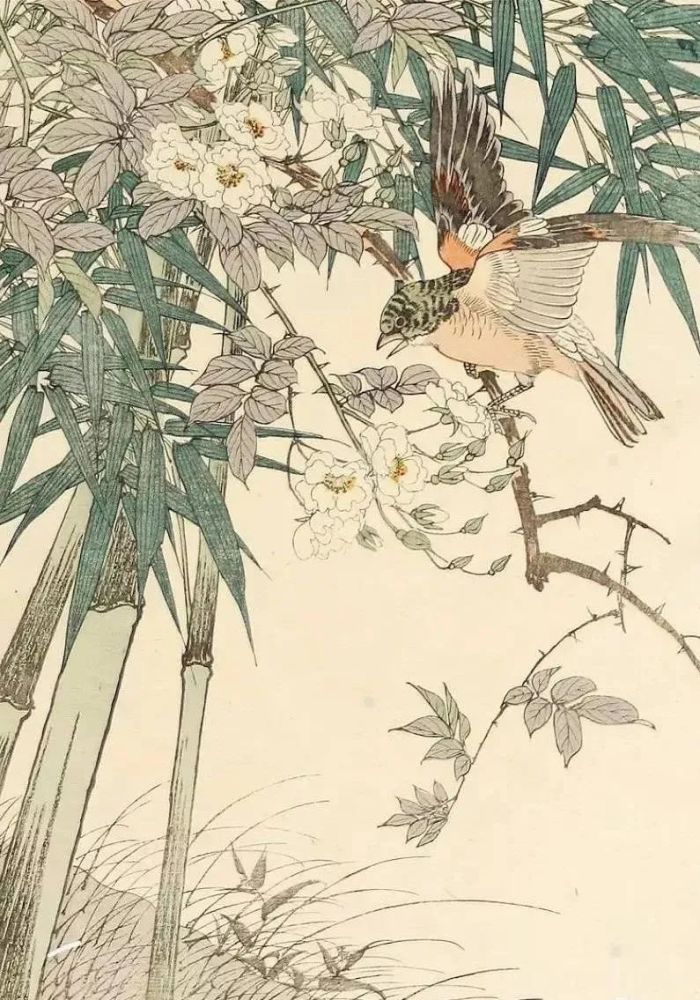 日本人笔下的花鸟画谱惊艳