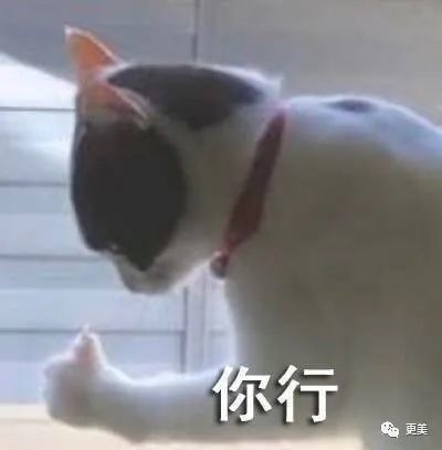 小凌霄|初代蛇蝎美人狠过杨幂，美过热巴，童年阴影又回来了…