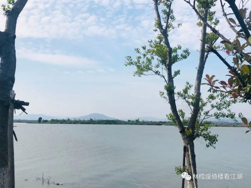 李清照|李清照漫读（四）：人若阳光，秋也静好