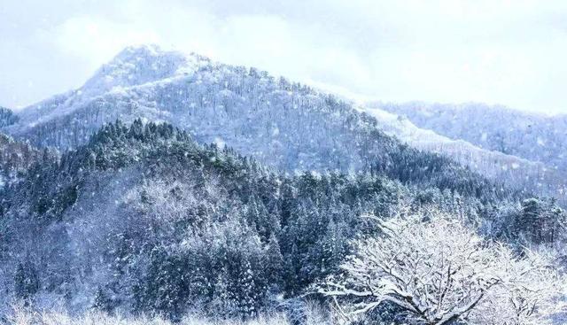 沁园春·雪|让古今文豪竞折腰，《沁园春·雪》能独领风骚，是它有三项第一