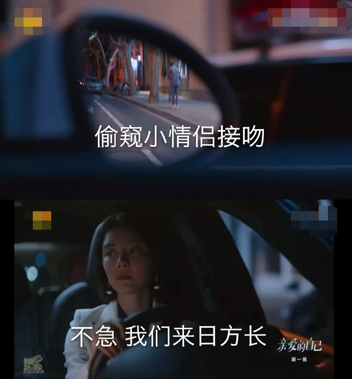 刘诗诗|《亲爱的自己》剧情太雷：刘诗诗在男厕谈生意，富婆想追朱一龙