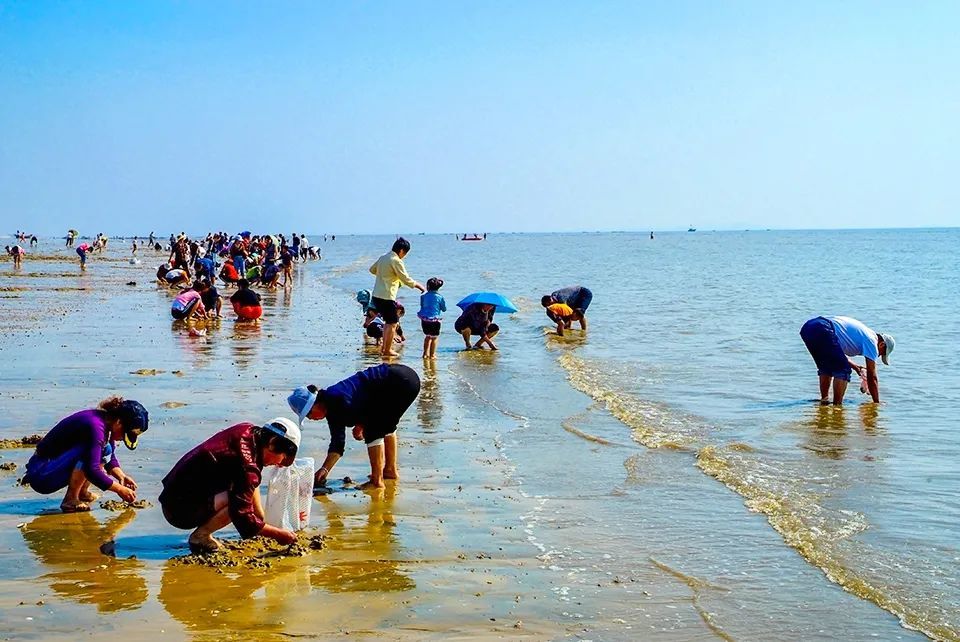 唐山月岛沙滩赶海拾贝,周末嗨起来