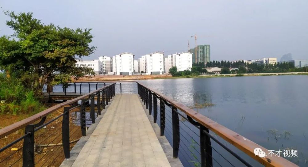 有柳版西湖柳版雷峰塔美称的柳州岜公塘湿地公园你打卡了吗