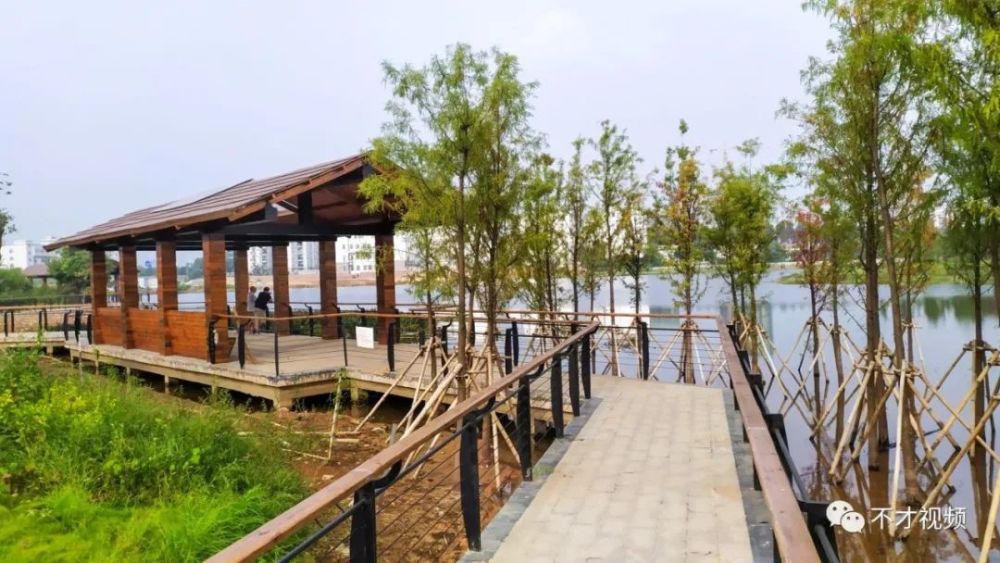 有柳版西湖柳版雷峰塔美称的柳州岜公塘湿地公园你打卡了吗