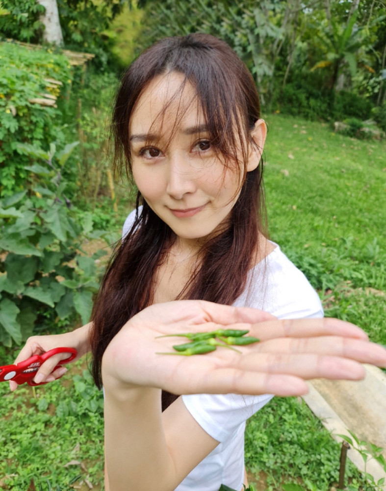 胡静|宁静在参赛，她的“丫鬟”胡静享受贵妇生活，在自家院子烧烤，太豪了