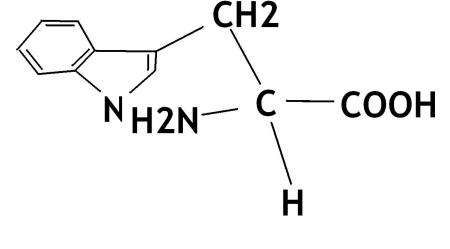 科学家|天外飞石上携带生命，科学家：地球生命可能是从太空起源的