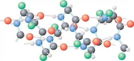 科学家|天外飞石上携带生命，科学家：地球生命可能是从太空起源的