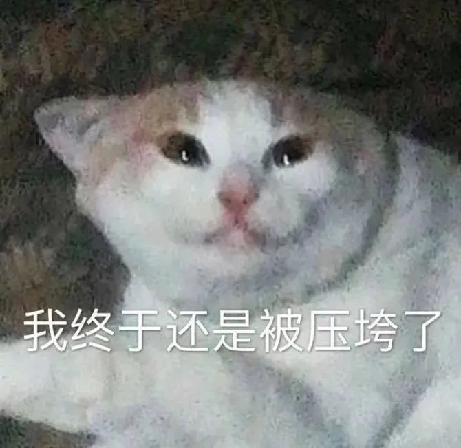 钟欣潼|受伤引出闺蜜情深，没想到她的朋友圈这么豪华？