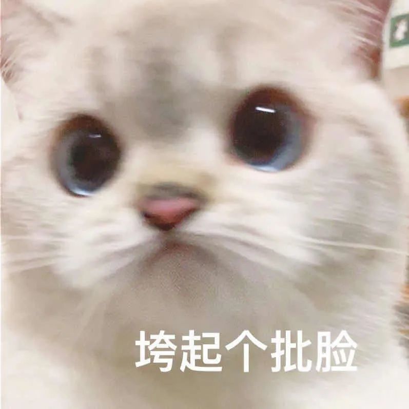 钟欣潼|受伤引出闺蜜情深，没想到她的朋友圈这么豪华？
