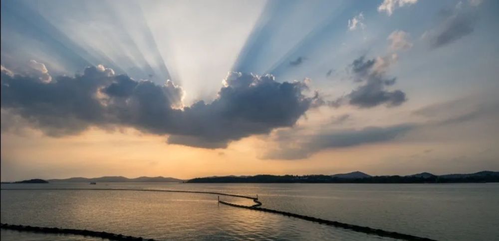 邹海|邹海的诗：不论多忙，都要活出一点诗意