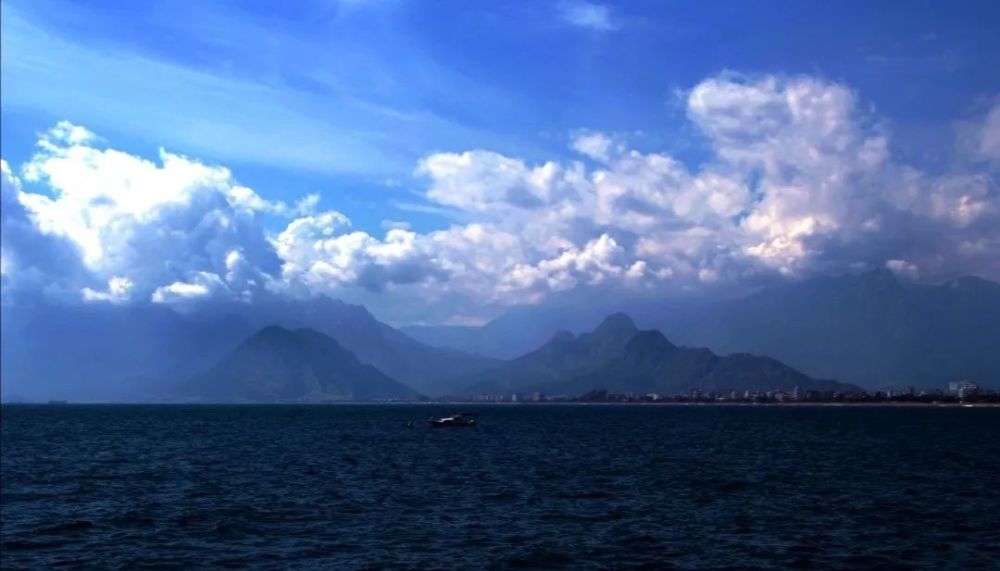 邹海|邹海的诗：不论多忙，都要活出一点诗意