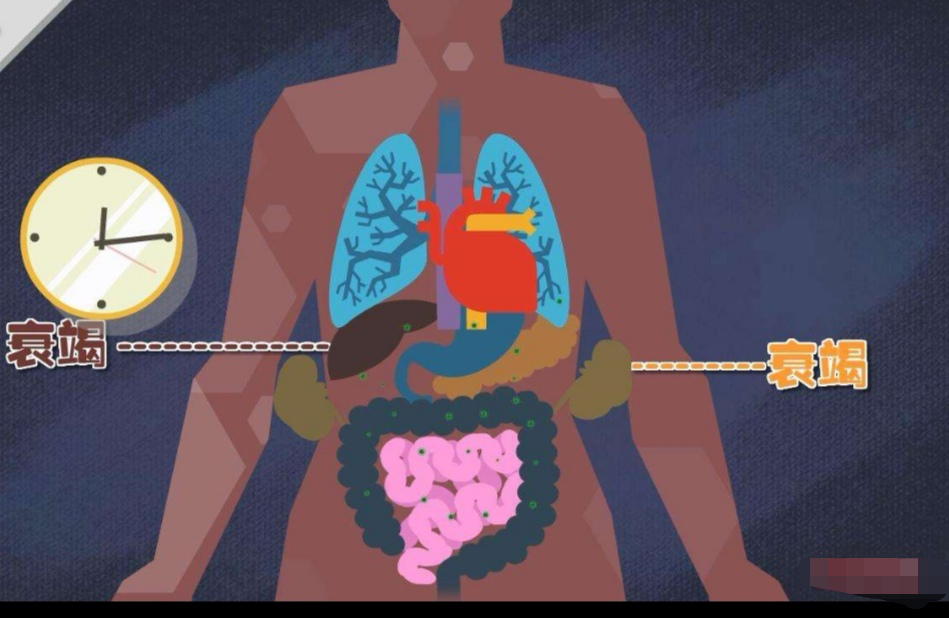 多系统器官功能衰竭合并急性肾衰竭的治疗应该是如何的?
