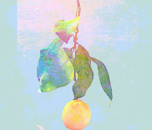 米津玄师思维细腻,他的作品透出超越他实际年纪的成熟.