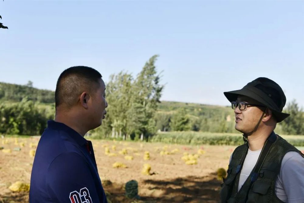 土豆|嵩县小伙郑州返乡科学种田，大葱地里轮种土豆，每亩地增收3000元