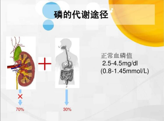 高磷血症的原因及其治疗