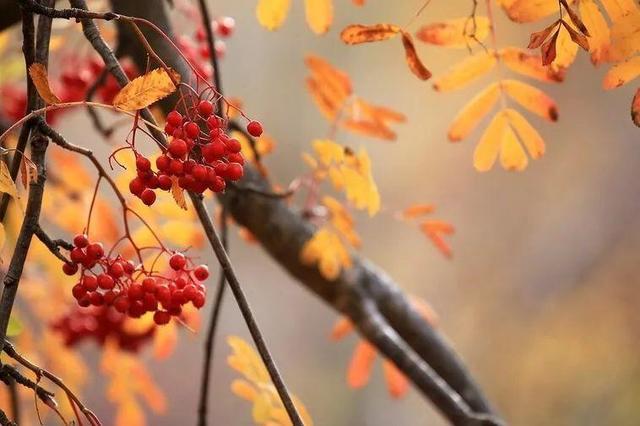 远香近臭,保护感情的方法:有所保留