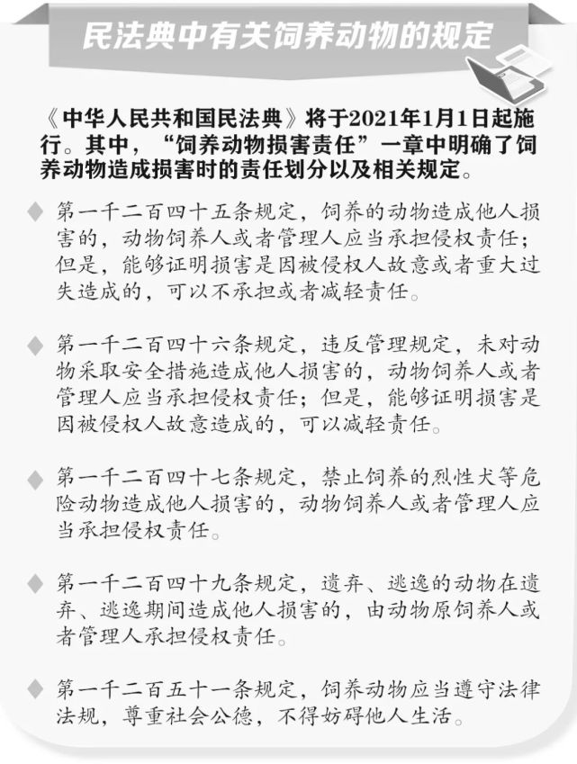 动物|养犬侵权，来看民法典有哪些规定？