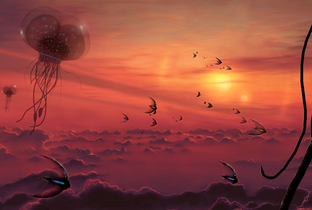 金星_天文行星|金星上发现会动的物体，难道地球是金星的延续？