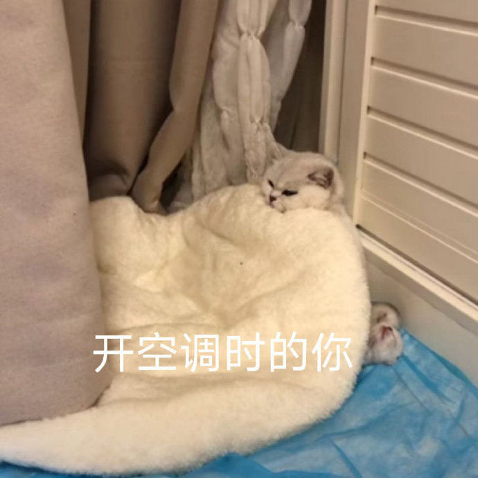 沙雕表情包l来打我呀 我有医保