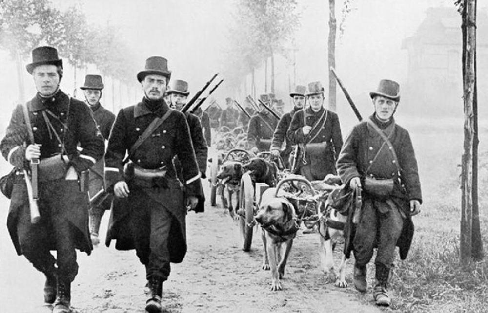 翼手龙|19世纪有一张翼手龙的老照片，照片明显是人工合成，却找不到漏洞