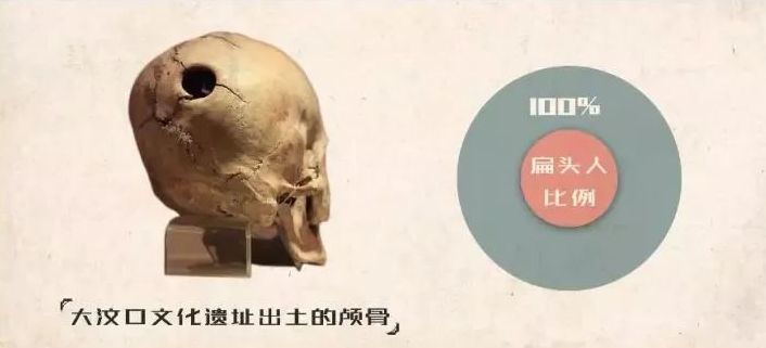 后脑勺|为什么别人有个圆润的后脑勺，我的却是扁的？