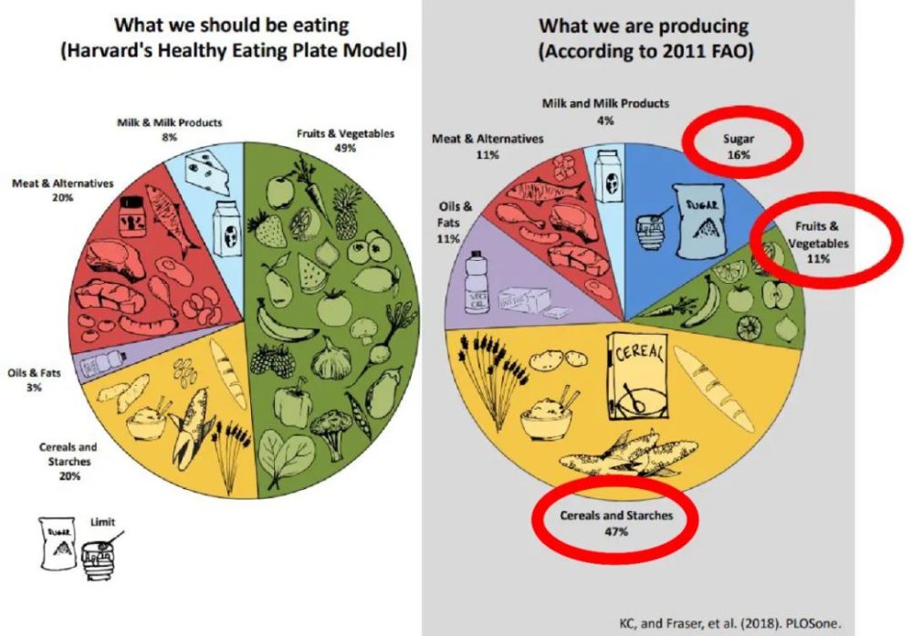 央视频|央视频批大胃王吃播，“全民节粮”背后有何商机？