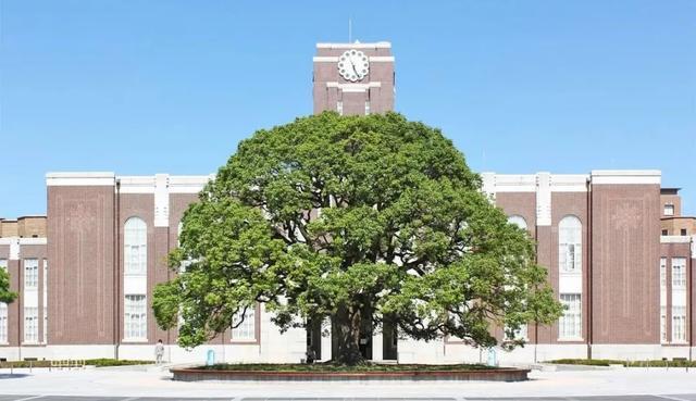 日本留学之那些初听上去容易被误解的大学专业 腾讯新闻