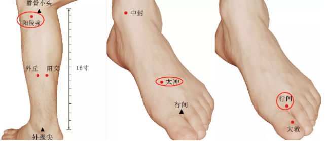 阳陵泉:在小腿外侧,当腓骨头前下方凹陷处.