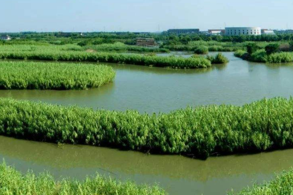 地球|地球的五脏用什么表示？它们缺一不可