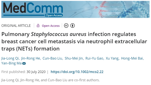 肺部细菌感染通过nets的形成促进乳腺癌转移 中国医学科学院 癌症 马雁冰 乳腺癌 肺部 细菌感染