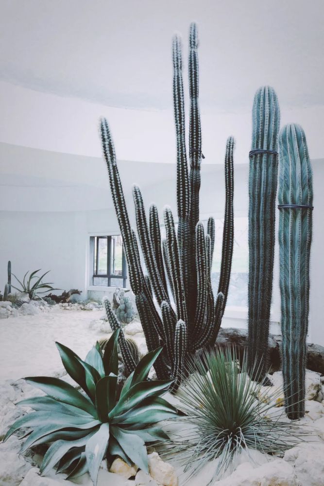 大地艺术|隐藏在大山深处的艺术