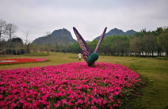 廣西南寧武鳴區五個值得一去的旅遊景點其中三個是國家4a級景區