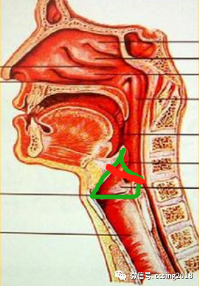 cc知乎答題咽音難在哪注意重點是什麼如何練習