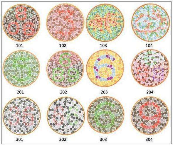 這就是我們所說的色盲書,即在駕校進行體檢時檢查色盲的那些圖片