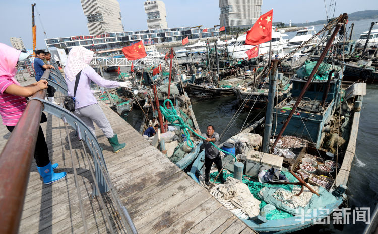 西海岸积米崖渔港码头市民纷纷前来挑选海货虾虎卖20元一斤