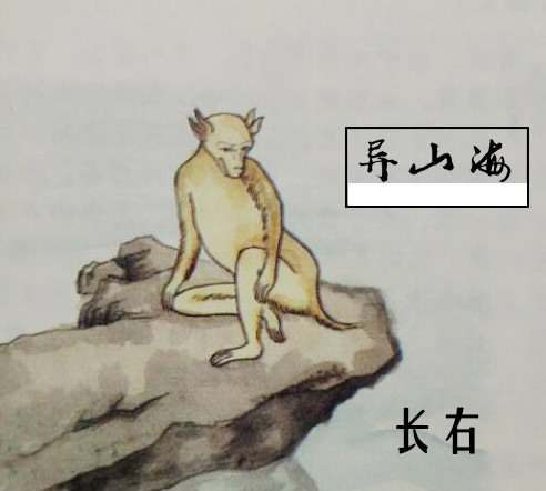 郭璞《图赞》曰:"长右四耳,厥状如猴.实为水样,见则横流.