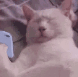 张绍刚|他的爹味快溢出屏幕了…