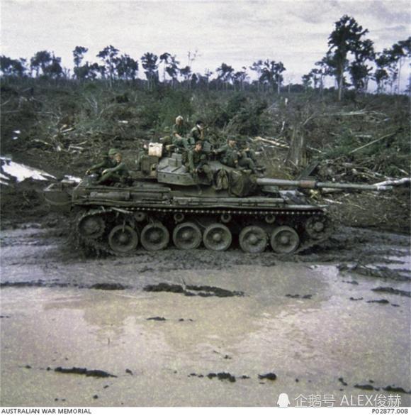 越战中的虎斑袋鼠曾有约4万澳大利亚军队参战