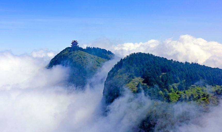 高山云雾出好茶,这三山,竟占了四川名茶的半壁江山!