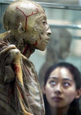 这些生物死后也鲜活,但看完后你一定不想这样